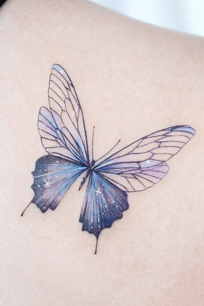 Galaxy Colored Butterfly