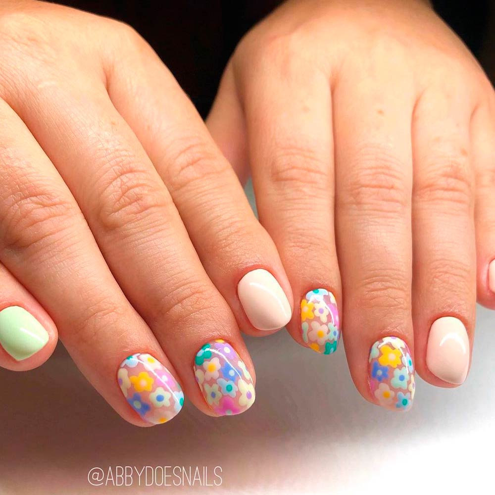 Colorful Spring Flowers