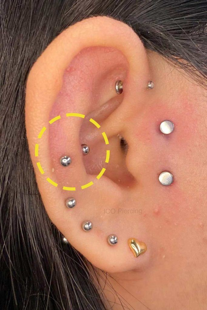 Snug Piercing (Anti-Helix)