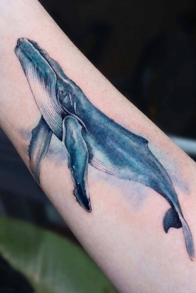 Watercolor Whale Tattoo Design