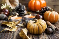 Totally Creative Thanksgiving Decorations To Stun Your Guests