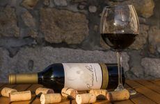 Innovative Wine Coolers and Your Guide on Picking the Right Wine Cooler