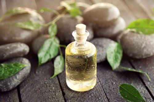 Amazing Benefits Of Using Tea Tree Oil
